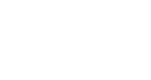 Professional Home Levelling Services logo